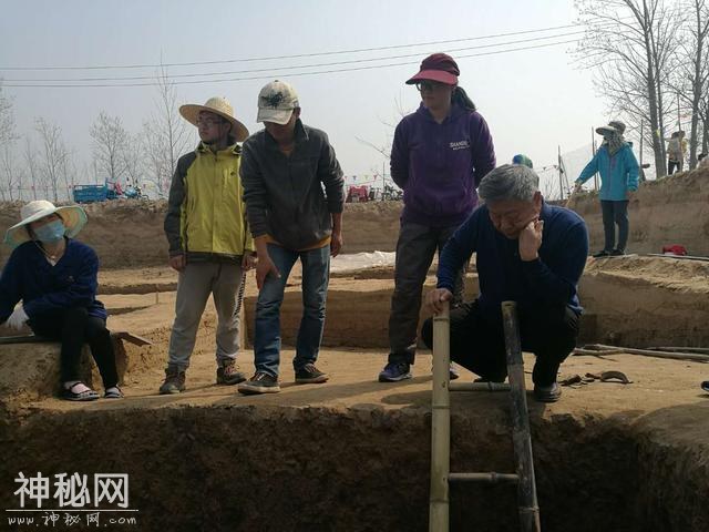 山东大学考古队：我们为什么来到菏泽马岭岗青丘考古？-15.jpg
