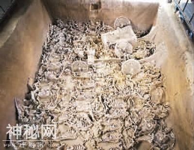 2017中国十大考古新发现-5.jpg
