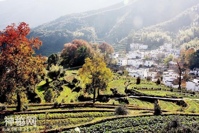 目前投资风口的乡村旅游业，会不会成为下一个房地产？-2.jpg