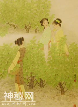 读完这最美的20句经典，才发现唐诗宋词不如《诗经》一本-1.jpg