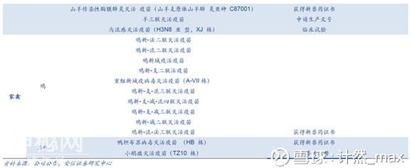 股市分析：生物股份大剖析！-18.jpg