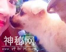 为什么养了狗狗之后，我想养更多的动物？-5.jpg