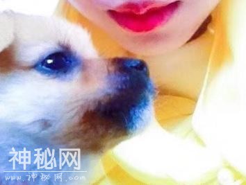 为什么养了狗狗之后，我想养更多的动物？-7.jpg