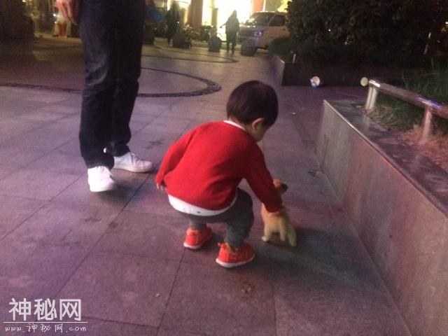 为什么养了狗狗之后，我想养更多的动物？-9.jpg