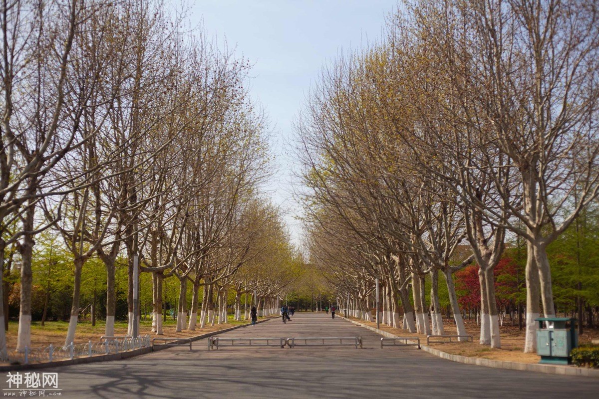 图虫人文摄影：山东科技大学青岛校区-3.jpg