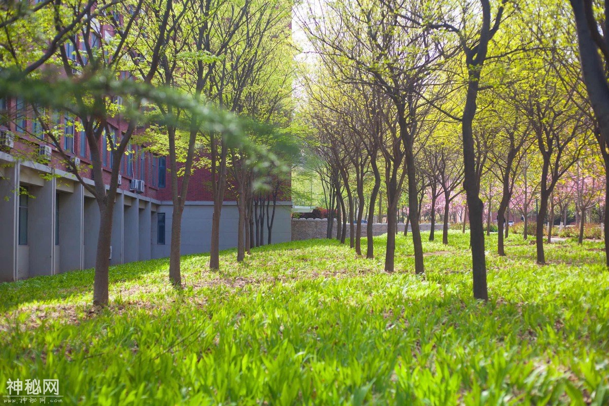 图虫人文摄影：山东科技大学青岛校区-11.jpg