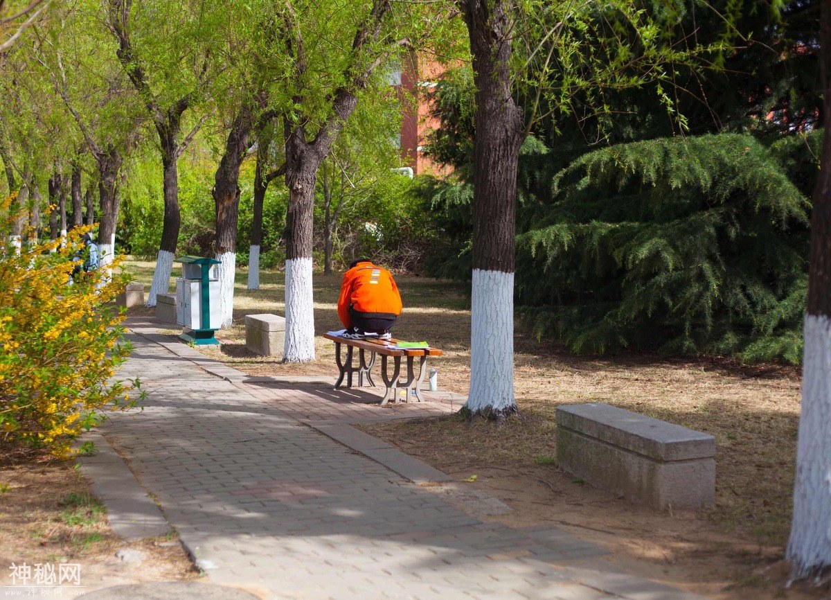 图虫人文摄影：山东科技大学青岛校区-12.jpg