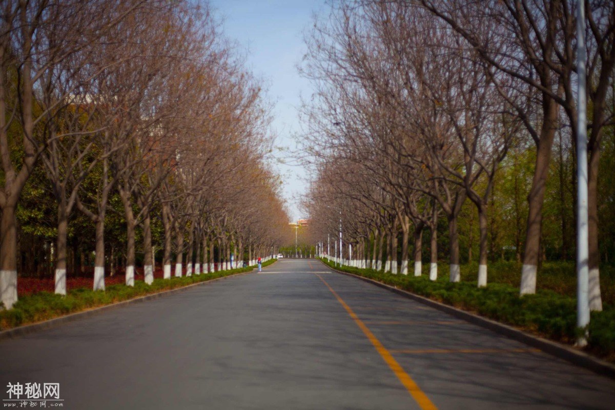 图虫人文摄影：山东科技大学青岛校区-13.jpg