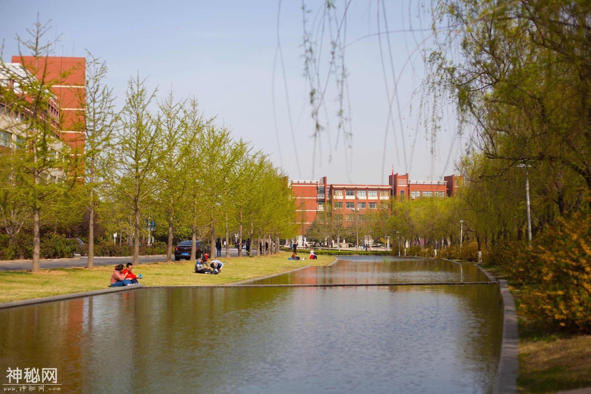 图虫人文摄影：山东科技大学青岛校区-15.jpg