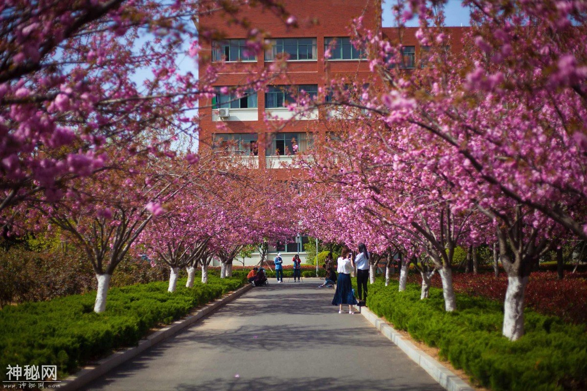 图虫人文摄影：山东科技大学青岛校区-18.jpg