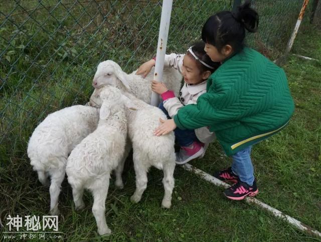 人文纳溪：你不容错过的“农耕体验+九大碗”！-9.jpg