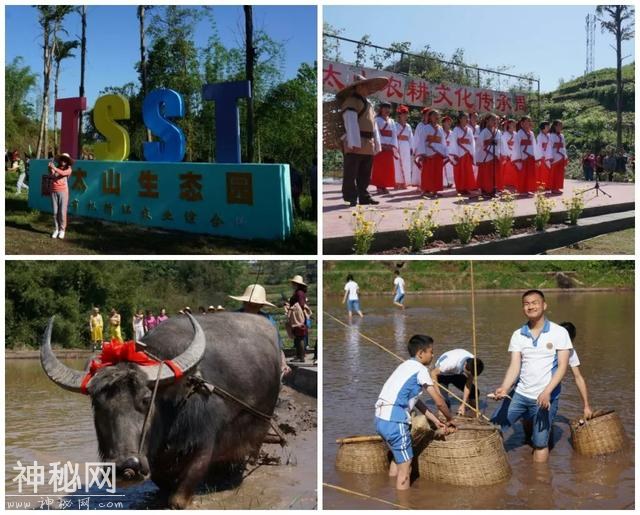 人文纳溪：你不容错过的“农耕体验+九大碗”！-2.jpg