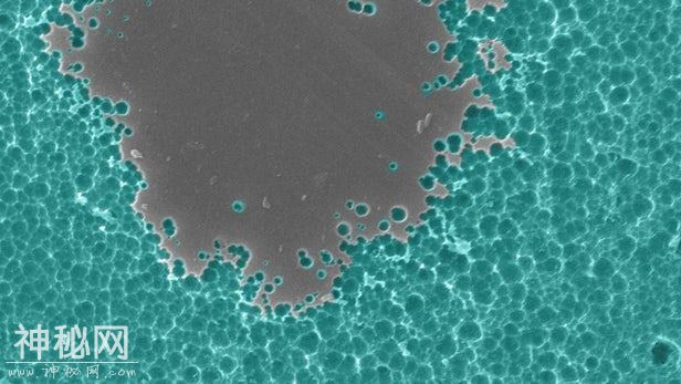 细菌一不小心拯救了地球？神奇酶或成塑料污染大救星！-4.jpg