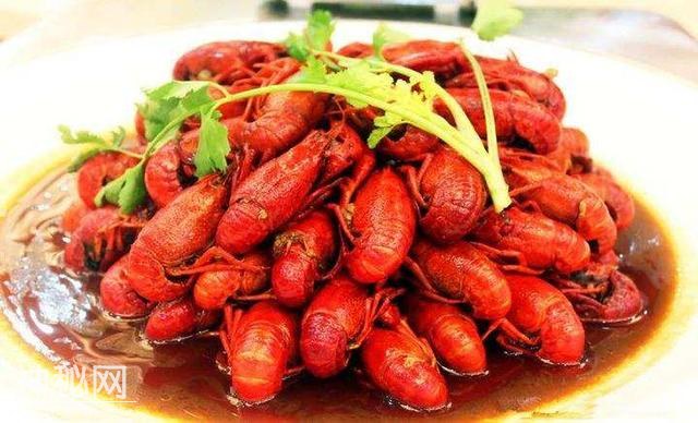 龙虾里的虾黄可以吃吗？是细菌还是营养，这下终于弄明白了！-4.jpg