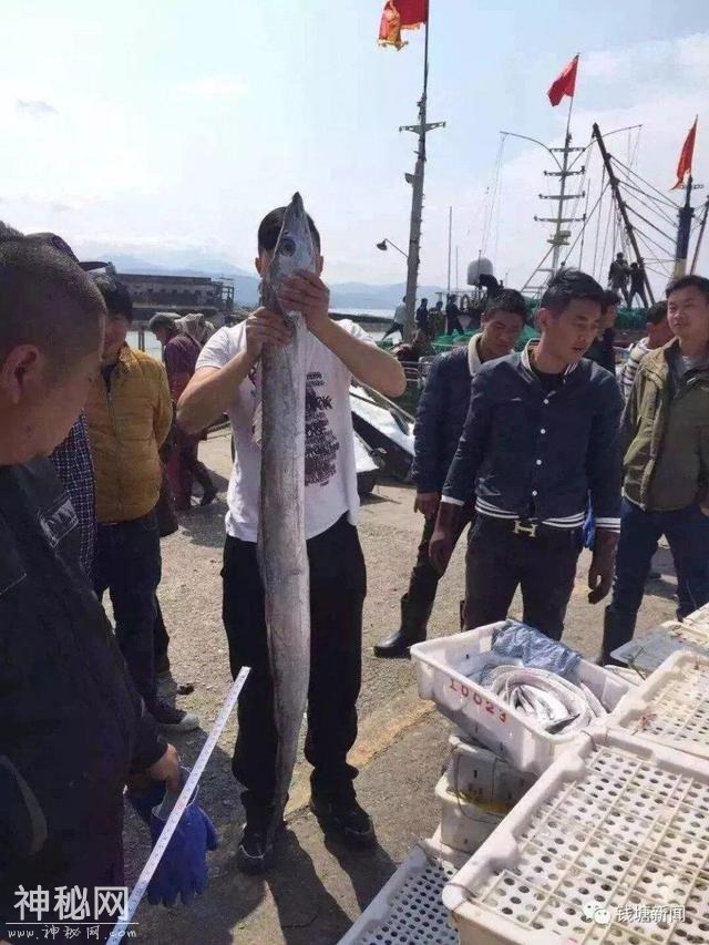 “沉痛悼念”那些被吃掉的东海水怪-5.jpg