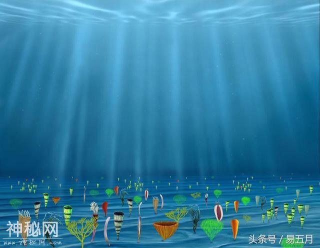 宇宙中任何生命体从诞生那刻起都有会走向死亡吗？-2.jpg