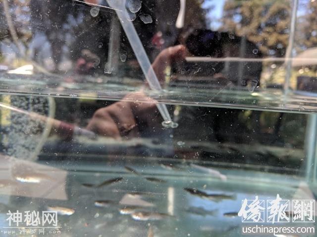 圣县细菌传染控制部开放日 举办社区科普活动-1.jpg