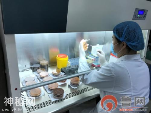 潍坊市中医院加入省细菌耐药监测网——关注细菌耐药监测，促进抗生素合理应用-2.jpg