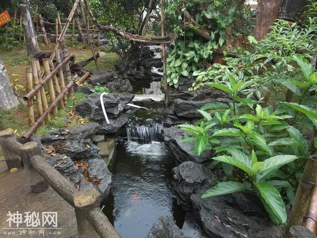 海口闻着花香喝着鸡汤-2.jpg