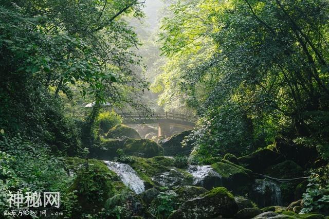 湖北武当山和四川青城山与另外哪两座山被称为“道教四大名山”-8.jpg