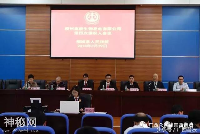 【律师服务案例】广西众维：柳州鑫能生物发电有限公司破产重整-1.jpg