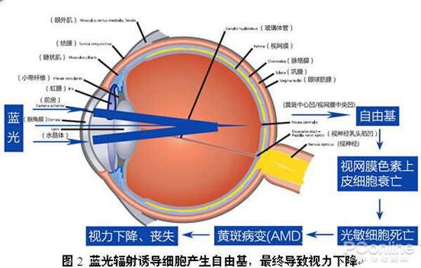 为什么我的眼里常含泪水？原来都是被LED灯给闪的-5.jpg