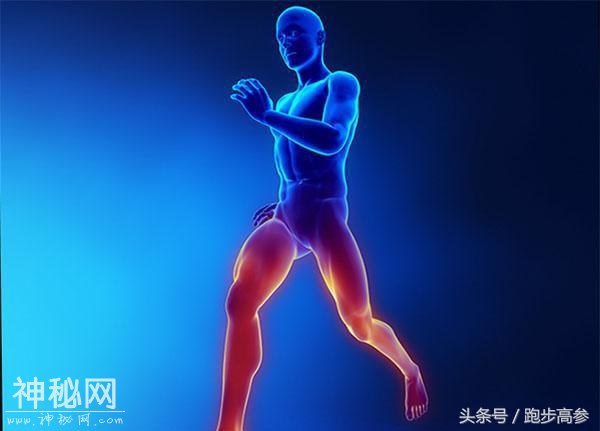 干货收藏｜运动完，身体肌肉酸痛，该如何快速缓解-1.jpg