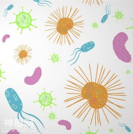细菌有危害，人体哪里藏细菌最多-1.jpg
