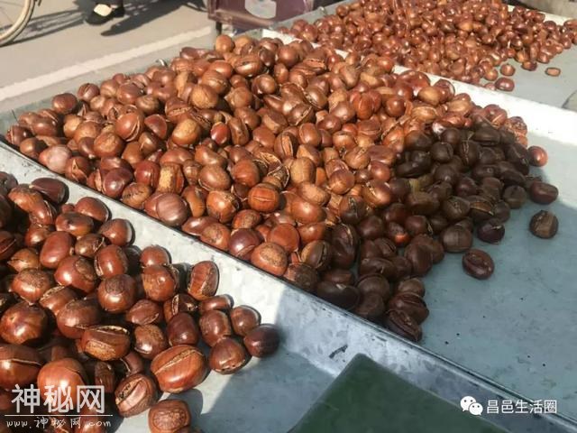 昌邑民俗：三月三，老婆子山-6.jpg