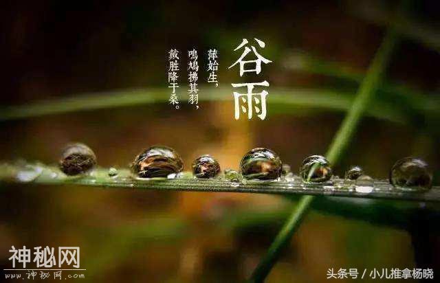济南小儿推拿杨晓谈节气推拿：小儿推拿保健，谷雨节气正当时！-1.jpg