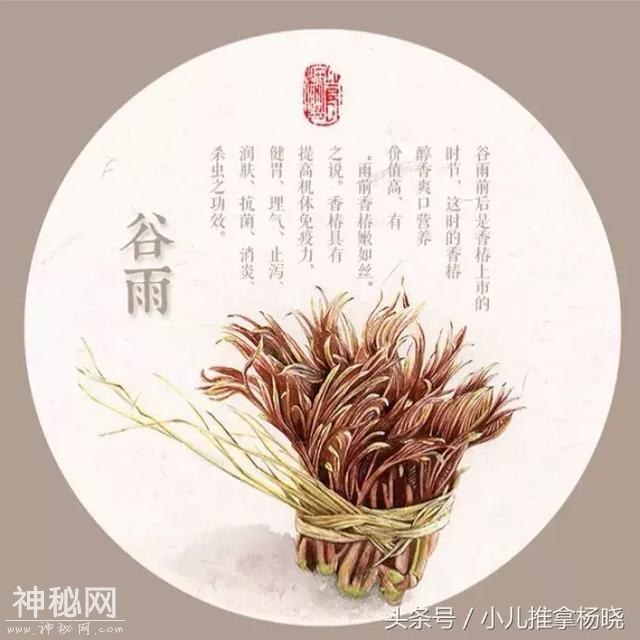 济南小儿推拿杨晓谈节气推拿：小儿推拿保健，谷雨节气正当时！-4.jpg
