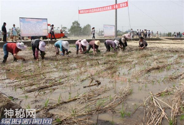 绵阳｜4月20日起全域秸秆禁烧：发现“火点”追查责任人-4.jpg