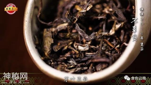 许多人都在问：为什么要专程去喝老张的茶？-12.jpg
