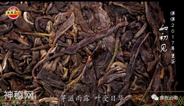 许多人都在问：为什么要专程去喝老张的茶？-13.jpg