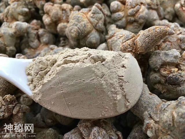 三七，对身体很管用」绝对是因你而生！行内揭秘-7.jpg
