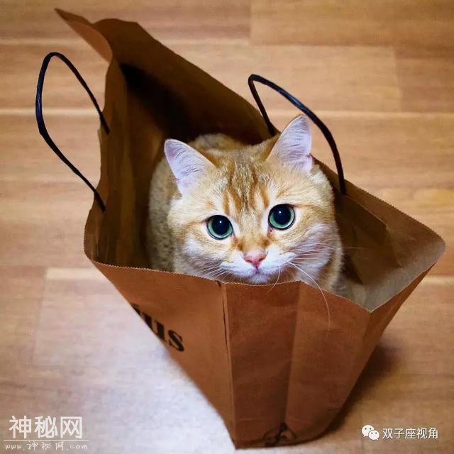 有趣的英语俗语：动物篇（3）有些是意想不到的，有些十分传神！-1.jpg