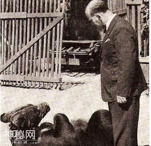 对主人露出肚皮还有可能是动物的死遁大法-15.jpg