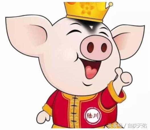 动物聚会，七言八语聊人类，个个都有怨气，听完笑晕……-10.jpg