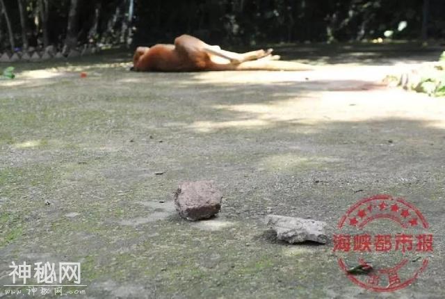晨读 | 三大运营商开始试点5G | 两中国学者当选美人文科学院院士-6.jpg