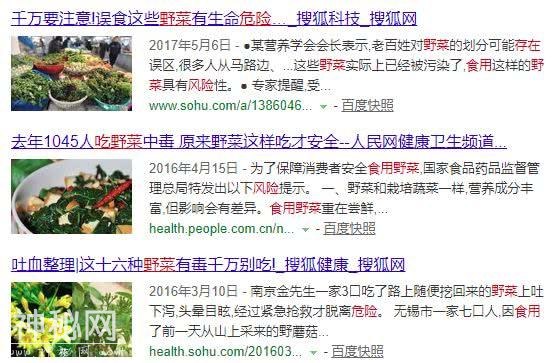 孩子吃野菜会对身体好吗？这些野菜小常识家长快记下-4.jpg