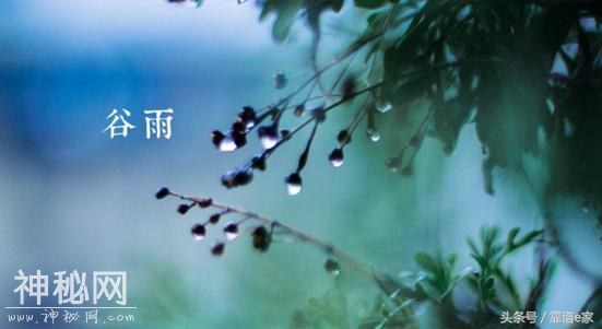 风雨伴春长，谷雨日丽光，又到谷雨时节，各地都有什么风俗呢？-2.jpg