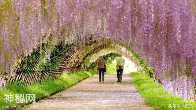 中外野餐野史，野餐？野战？春天里草地上才最开胃！-2.jpg
