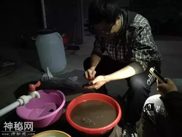 山东菏泽青丘考古队向村民开放考古现场！讲解出土文物！-3.jpg