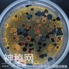 酿酒与生物菌肥其实蛮相似！走进生物菌肥-4.jpg