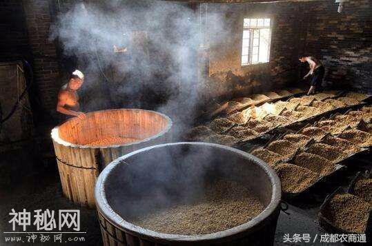 酿酒与生物菌肥其实蛮相似！走进生物菌肥-2.jpg