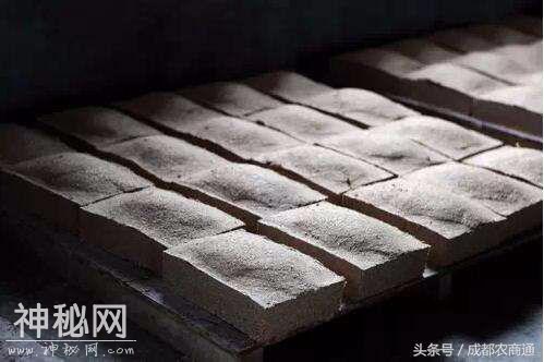 酿酒与生物菌肥其实蛮相似！走进生物菌肥-3.jpg