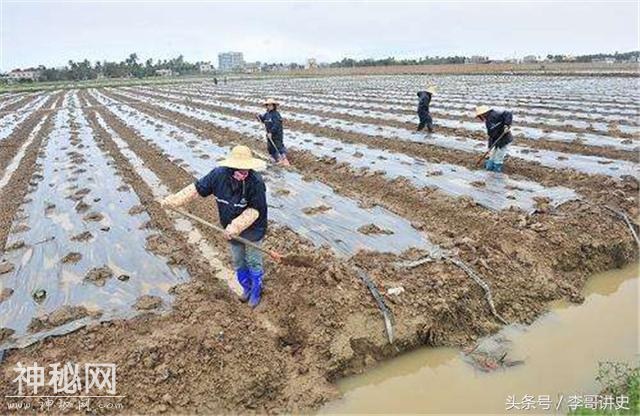 江苏盱眙一农民发现西汉“怪兽”，专家要求上交国家，奖励5000元-1.jpg