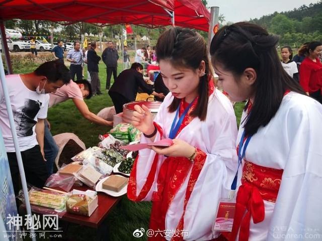 江淮果岭首届暨蒿子粑粑民俗文化节开幕-5.jpg