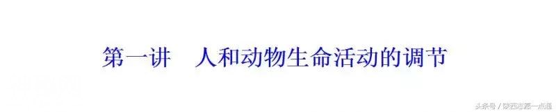 高考生物：生命活动的调节——人和动物的生命调节考点详解-1.jpg