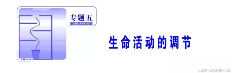 高考生物：生命活动的调节——人和动物的生命调节考点详解-5.jpg